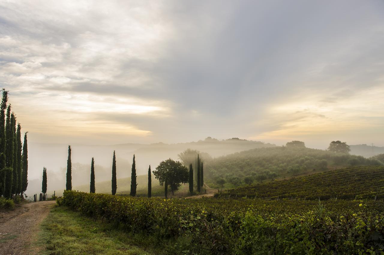 Agriturismo Poggio Corbello La Pesta Ngoại thất bức ảnh