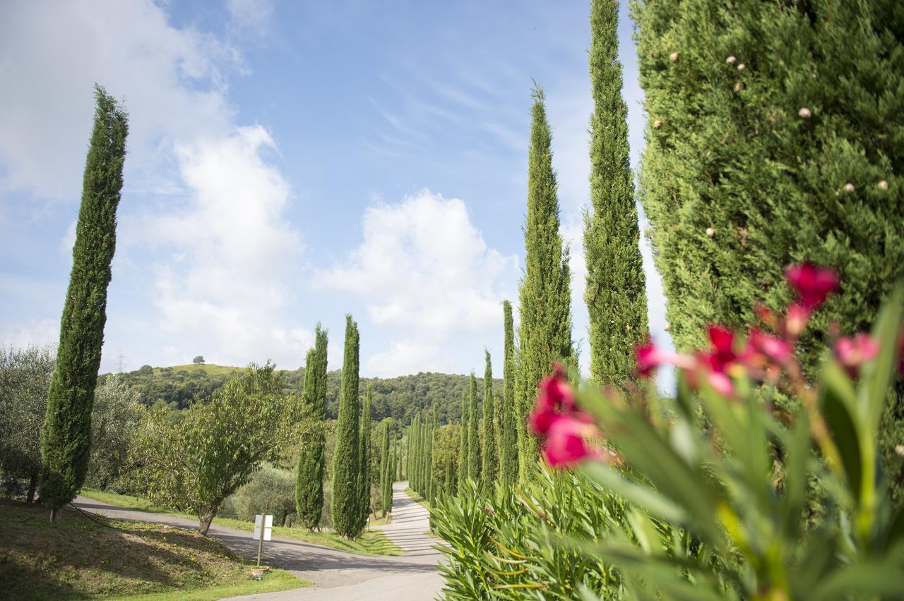 Agriturismo Poggio Corbello La Pesta Ngoại thất bức ảnh