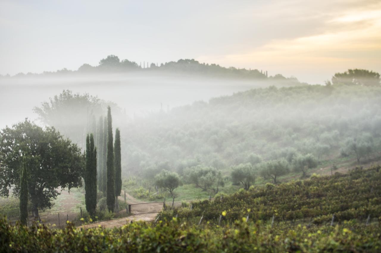 Agriturismo Poggio Corbello La Pesta Ngoại thất bức ảnh