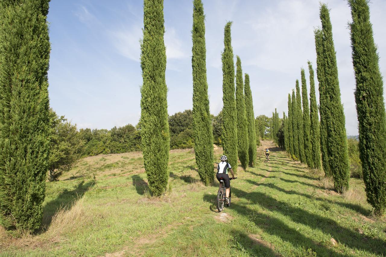 Agriturismo Poggio Corbello Villa La Pesta Ngoại thất bức ảnh