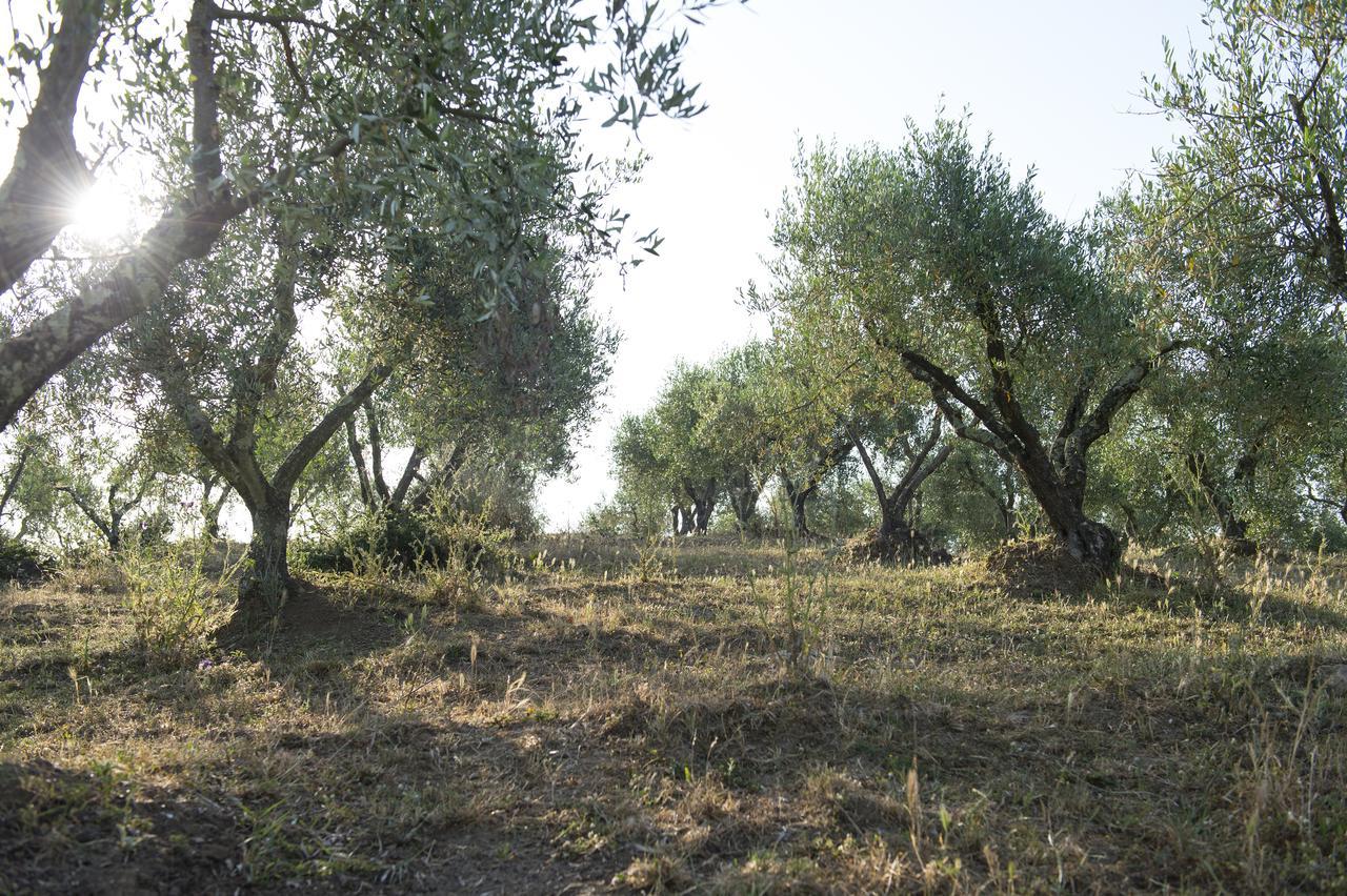 Agriturismo Poggio Corbello La Pesta Ngoại thất bức ảnh