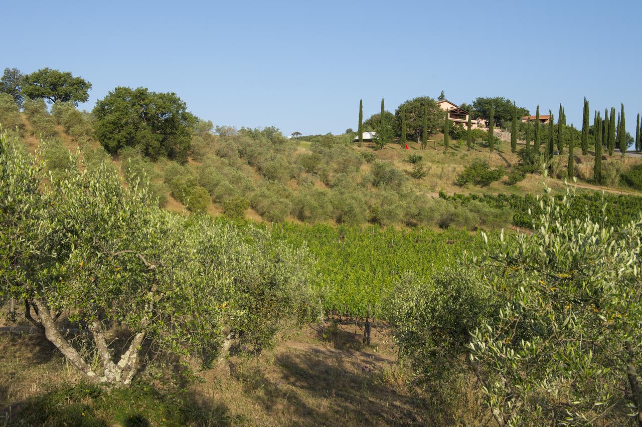 Agriturismo Poggio Corbello La Pesta Ngoại thất bức ảnh
