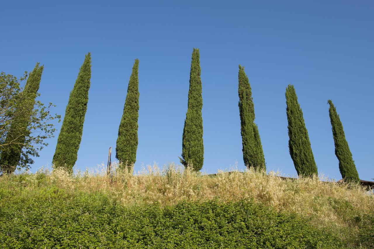 Agriturismo Poggio Corbello La Pesta Ngoại thất bức ảnh